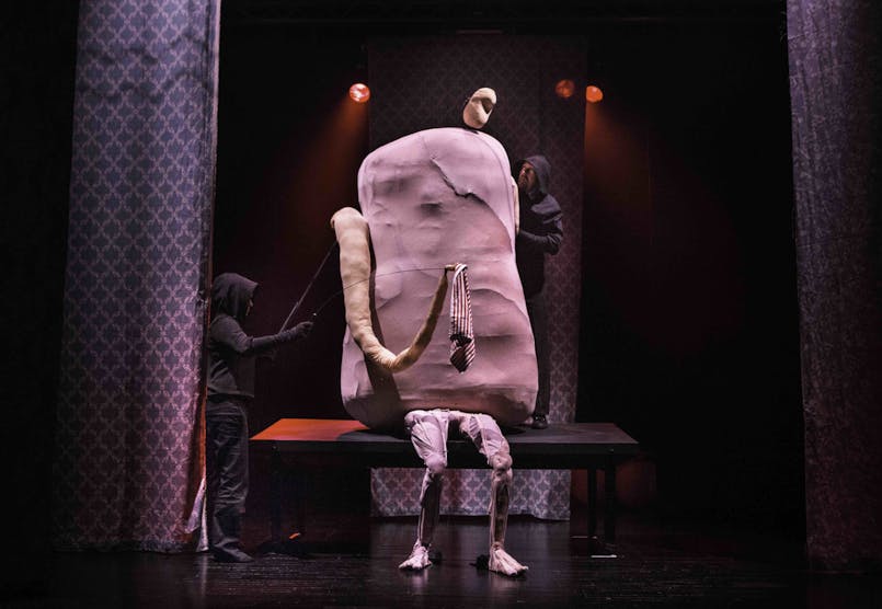 B I G Thomas Dhanens foto 4